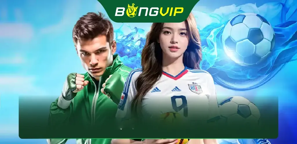 Điều Khoản Sử Dụng 1 Điều Khoản Sử Dụng BongVip | Cam Kết Minh Bạch, Công Bằng