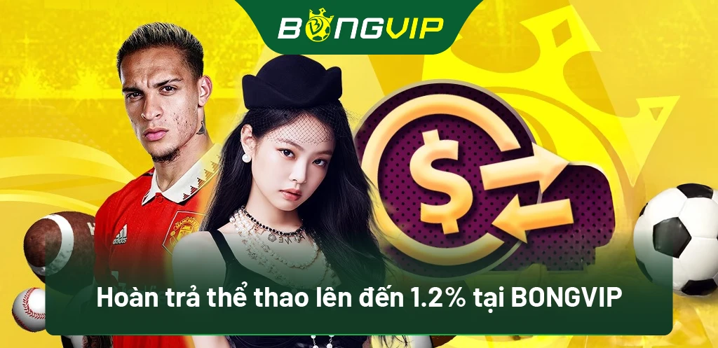 Hoàn Trả Thể Thao Lên Đến 1.2% Tại Bongvip: Cơ Hội Không Thể Bỏ Lỡ! 1 Hoàn trả thể thao lên đến 1.2% tại BongVip