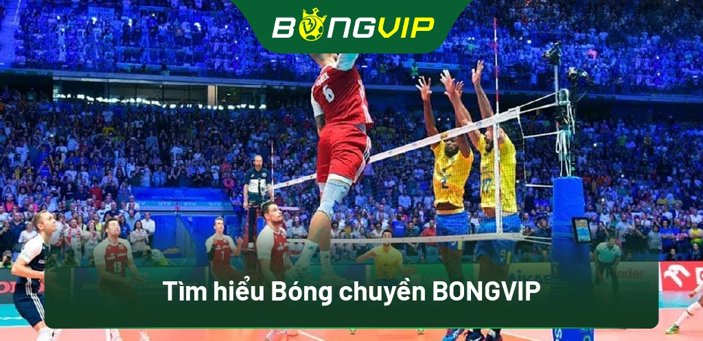 Khám Phá Cách Cá Cược Bóng Chuyền Tại Bongvip Mang Lại Lợi Nhuận Cao! 1 Tìm hiểu Bóng chuyền BongVip