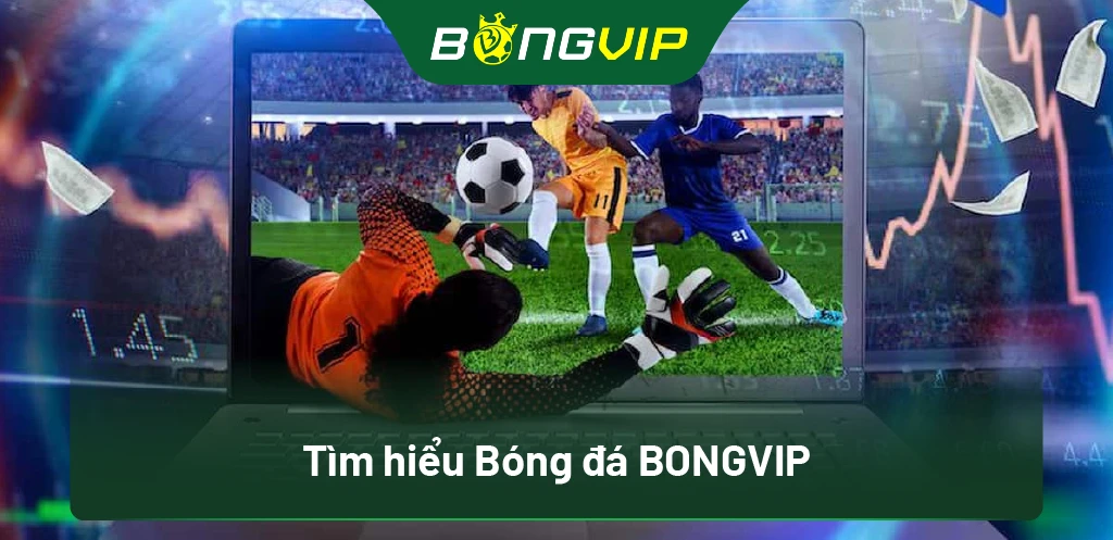 Khám Phá Bóng Đá Bongvip: Bí Mật Đằng Sau Những Trận Cầu Đỉnh Cao! 1 Tìm hiểu Bóng đá BongVip